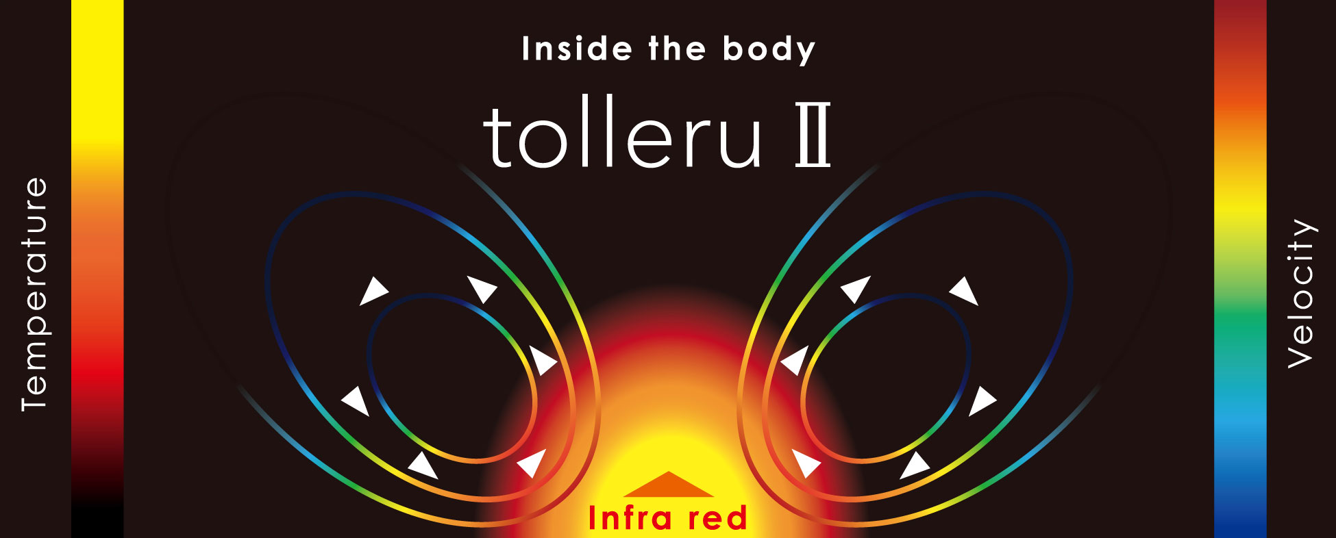 Inside the body tolleru II